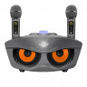 SDRD SD-306 Plus - bluetooth колонка-караоке с беспроводными микрофонами